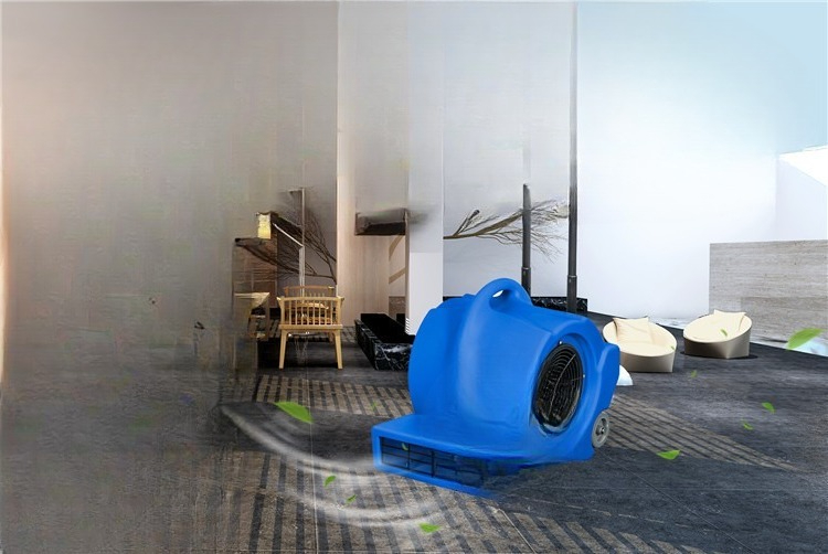 Mobile carpet floor dryer Hote - Power Tools Mall recension och pris
