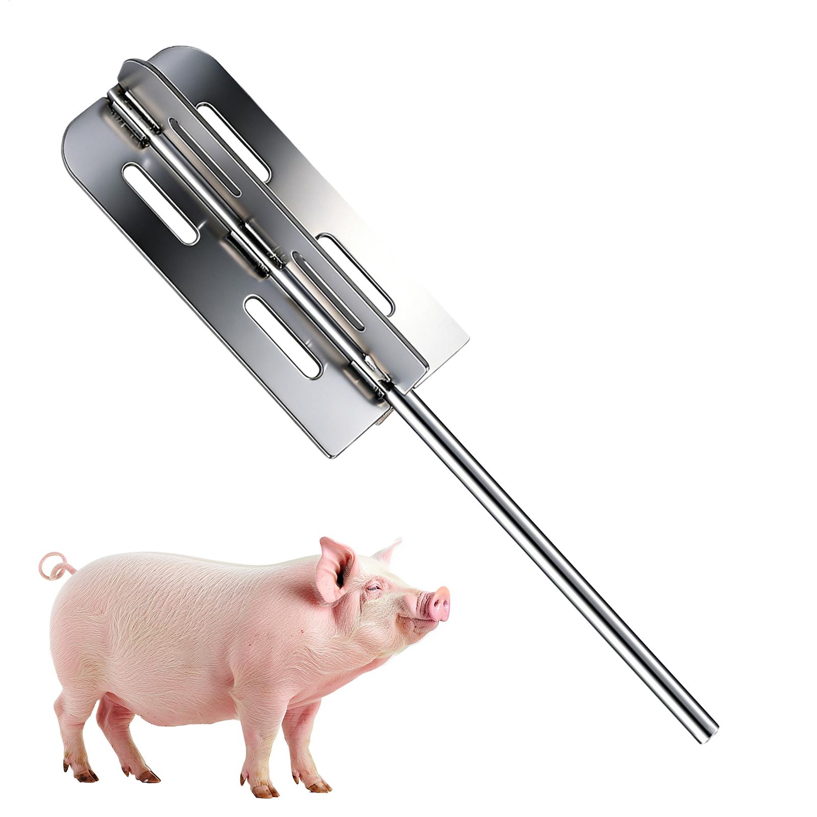 Hog Hair Removal Tool Stainles - Power Tools Router recension och pris